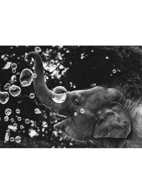 CARTE POSTALE CARTE POSTALE