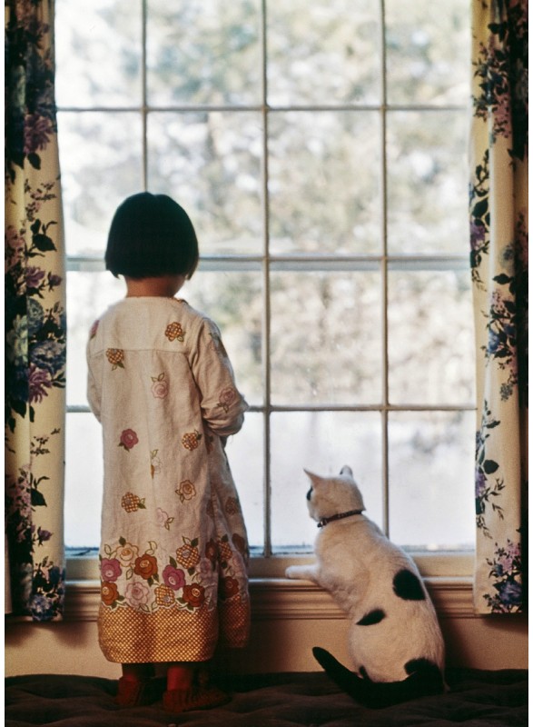 CARTE POSTALE CARTE POSTALE