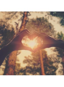 QUADRATISCHE DOPPELKARTE