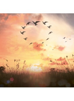 QUADRATISCHE DOPPELKARTE