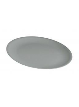 LARGE PLATE