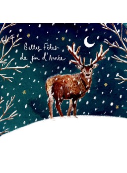WEIHNACHTSBOX 10 STüCK