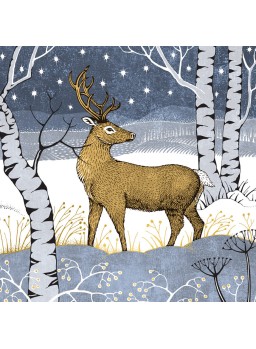 LUXURIöSE BOX MIT 8 KARTEN