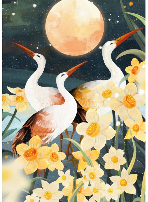 CARTE POSTALE CARTE POSTALE