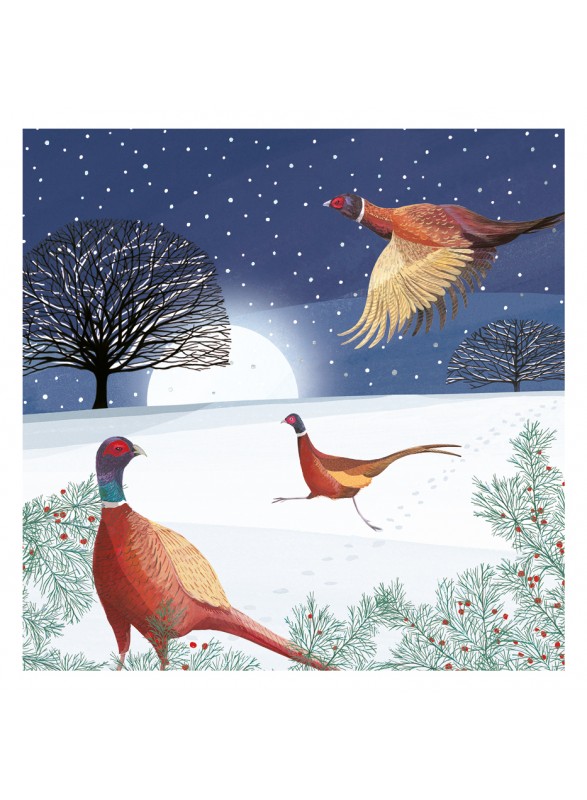 LUXURIöSE BOX MIT 8 KARTEN LUXURIöSE BOX MIT 8 KARTEN