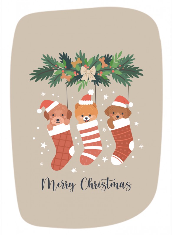 MINI CARTE DOUBLE MINI CARTE DOUBLE