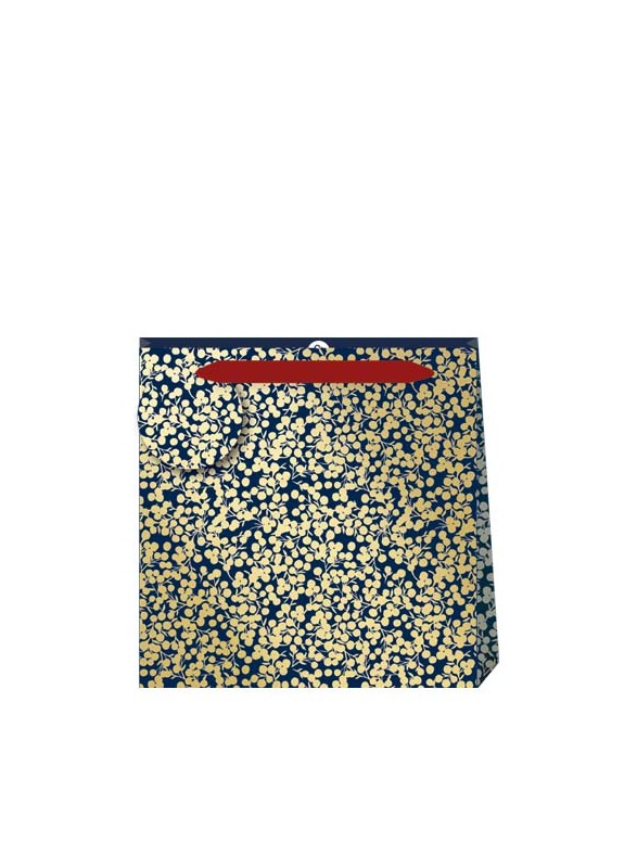 SAC CADEAU SAC CADEAU