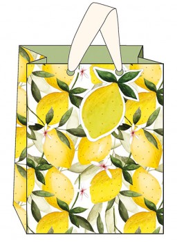SAC CADEAU
