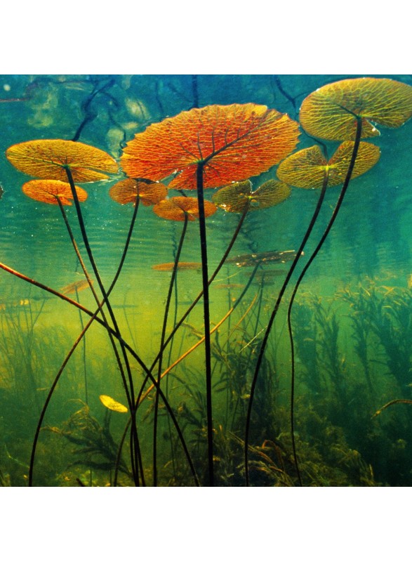 QUADRATISCHE DOPPELKARTE QUADRATISCHE DOPPELKARTE