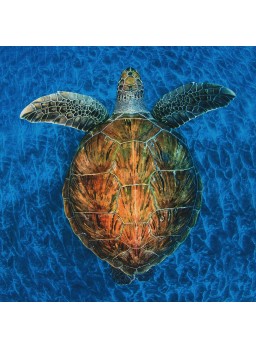 CARTE DOUBLE CARRéE