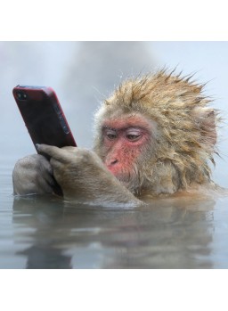 CARTE DOUBLE CARRéE