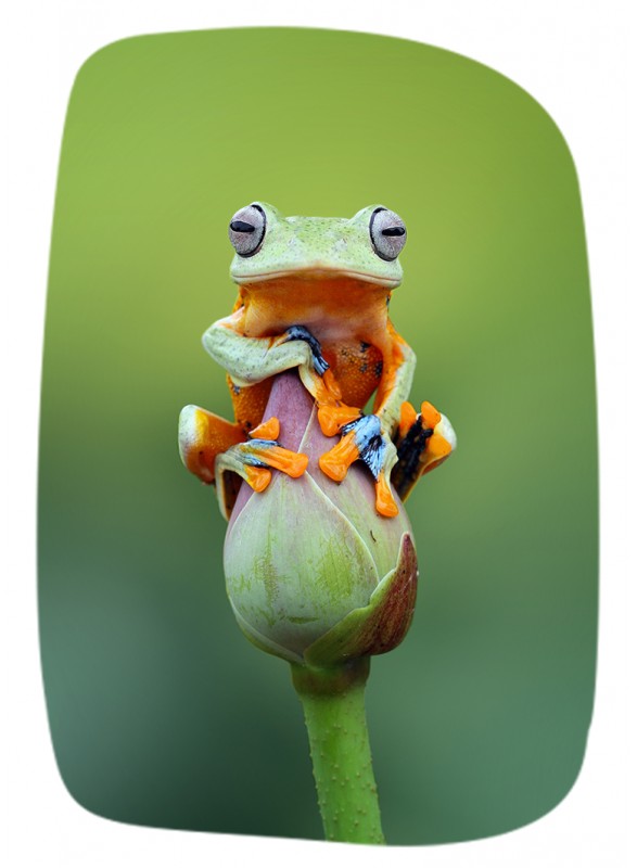 MINI CARTE DOUBLE MINI CARTE DOUBLE