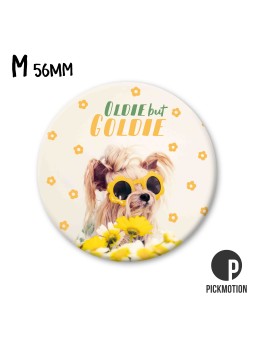 MAGNET M