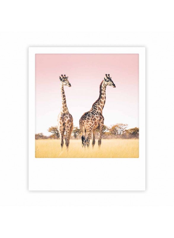 CARTE POSTALE CARTE POSTALE