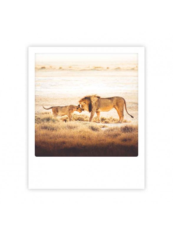 CARTE POSTALE CARTE POSTALE