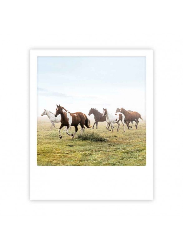 CARTE POSTALE CARTE POSTALE