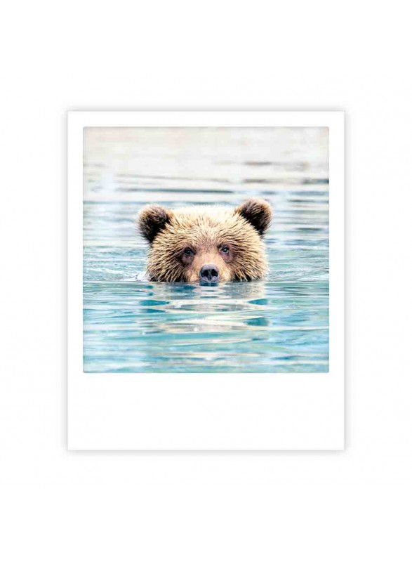 CARTE POSTALE CARTE POSTALE