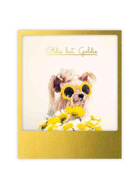 CARTE POSTALE CARTE POSTALE