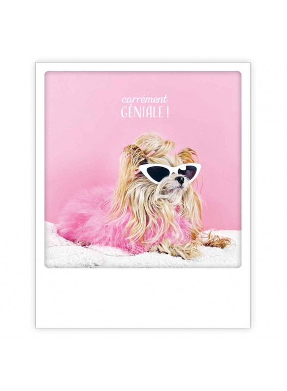 CARTE POSTALE CARTE POSTALE