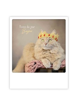 CARTE POSTALE