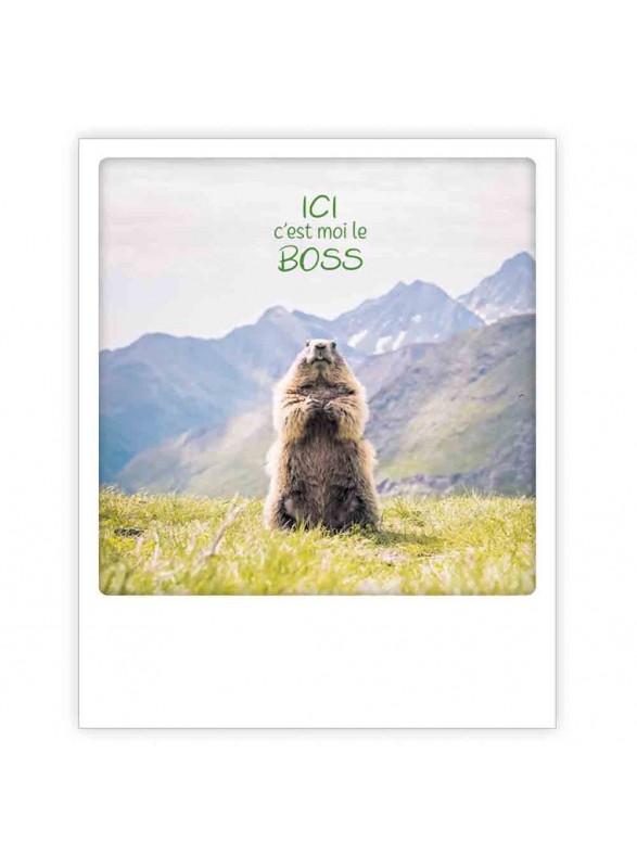 CARTE POSTALE CARTE POSTALE
