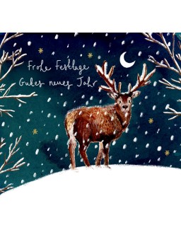 WEIHNACHTSBOX 10 STüCK