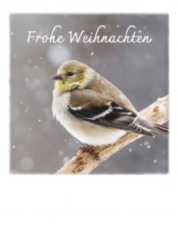 POLA - MINI CARTE POSTALE NOëL