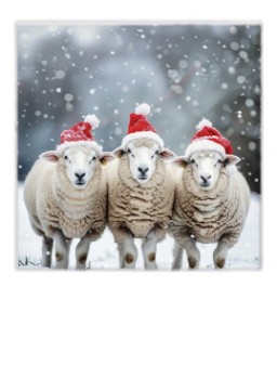 POLA - MINI CARTE POSTALE NOëL