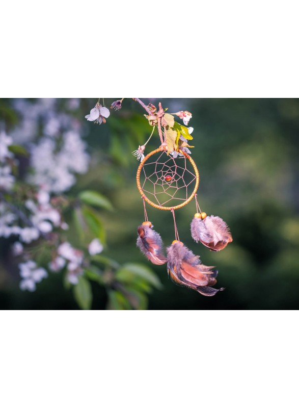 CARTE POSTALE CARTE POSTALE