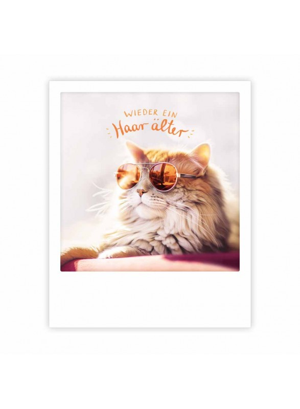 CARTE POSTALE CARTE POSTALE
