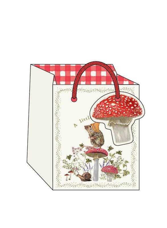 SAC CADEAU SAC CADEAU