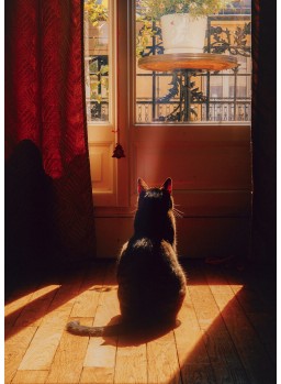 POSTKARTE