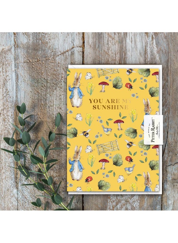 CARTE DE VOEUX CARTE DE VOEUX