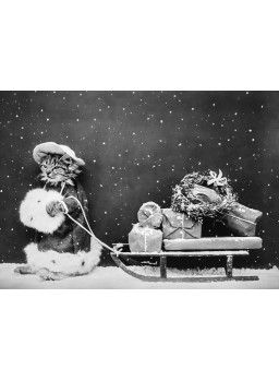 CARTE POSTALE NOëL