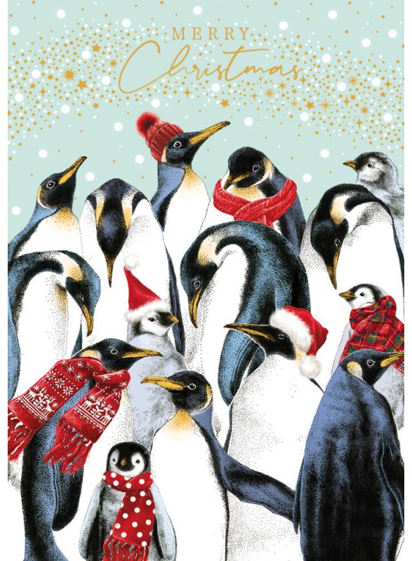 CARTE DOUBLE NOëL CARTE DOUBLE NOëL