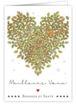 CARTE DOUBLE NOëL