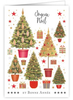 CARTE DOUBLE NOëL