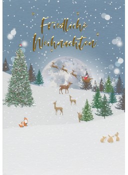 CARTE DOUBLE NOEL